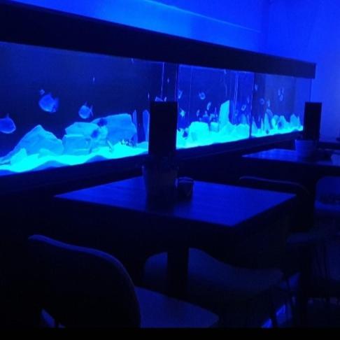 The New Blue Horse Suite At The Grumpy Schnauzer B&B Luxury Private Indoor Hot Tub Breakfast In Bed Эйрдри Экстерьер фото
